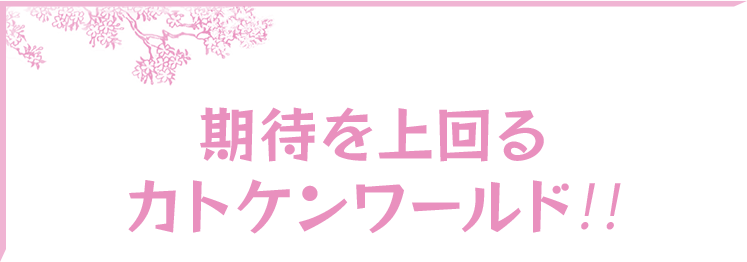 期待を上回るカトケンワールド!!