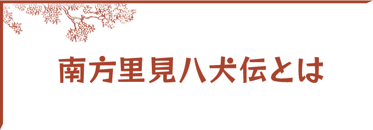 南浦里見八犬伝とは